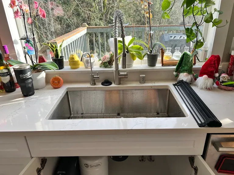 Kitchen sink with commercial-style pulldown faucet and A. O. Smith filter under the cabinet